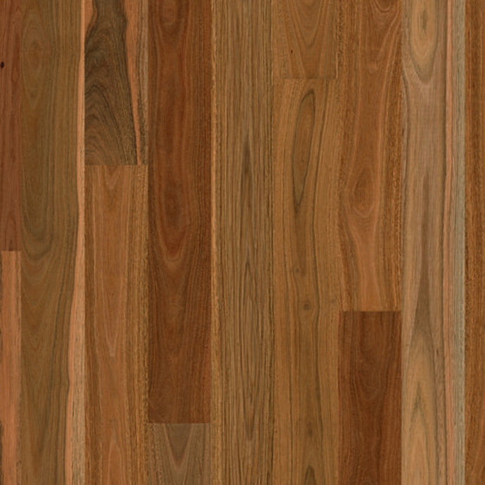Australian Solid Timber - Spotted Gum